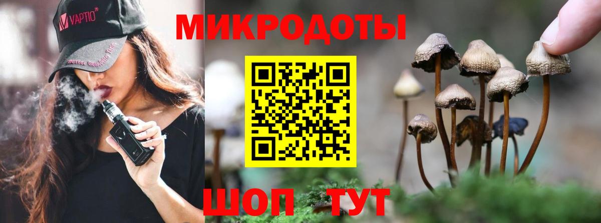 Вязьма  Галлюциногенные грибы мухоморы  Вход с VPN 